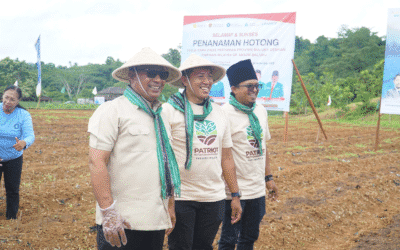 Penanaman Perdana Hotong Menjadi Langkah Nyata Menuju Kemandirian Pangan Maluku